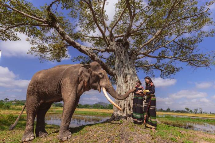 Teaser MV Con Sinh Ra La De Phi Thuong17