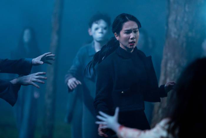 TMVAP24 1581-Enhanced-NR