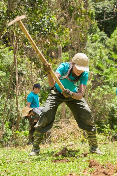 Hoa hau HHen Nie trong rung Thanh Hoa 69