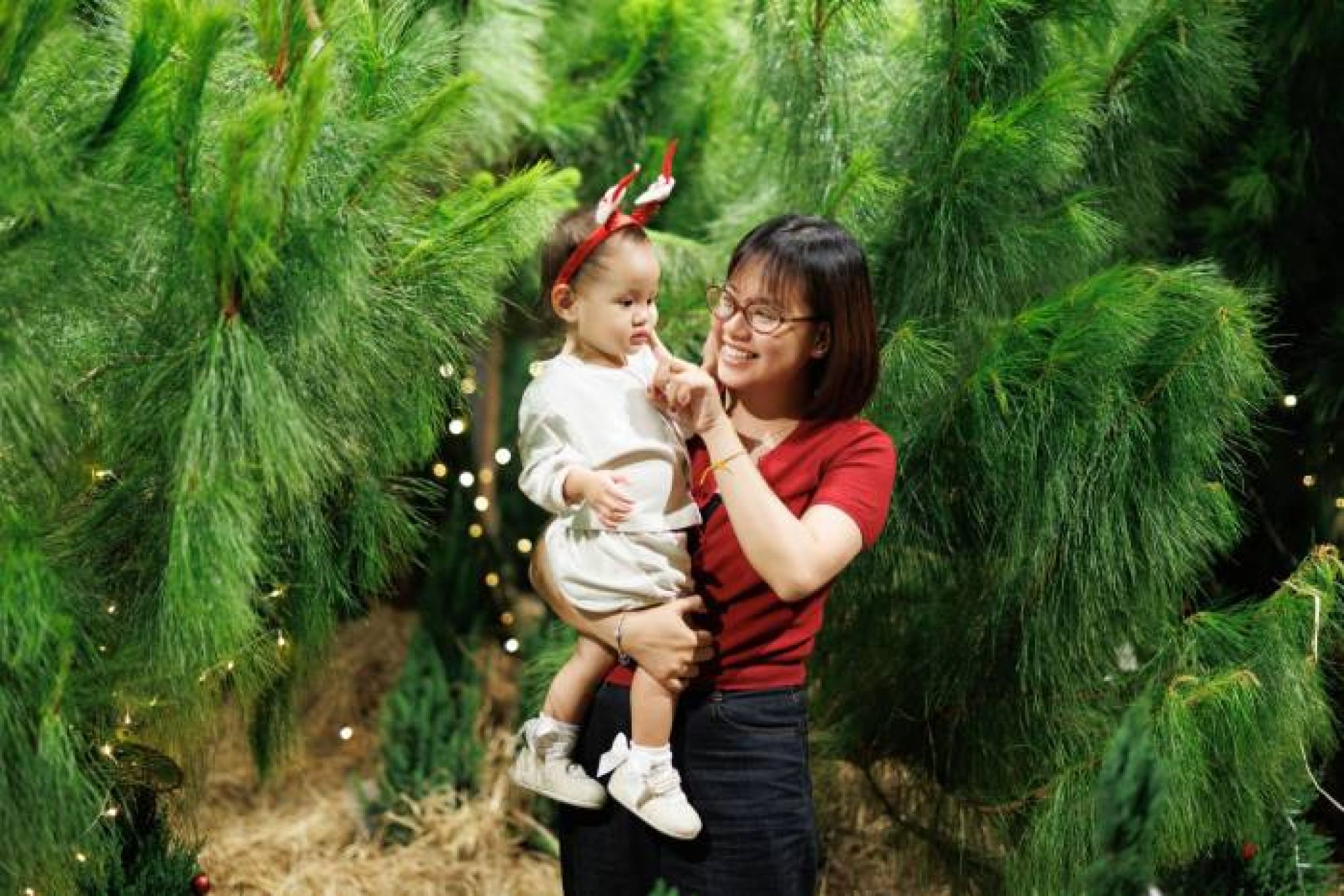 Rừng th&ocirc;ng thật lần đầu ti&ecirc;n xuất hiện tại S&agrave;i G&ograve;n đ&oacute;n Gi&aacute;ng sinh